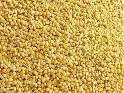 foxtail-millet-250x250.jpg